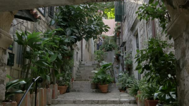 Potted Plants Narrow Street — Stock Video