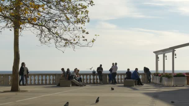 People Relaxing Promenade Sea — Stock Video