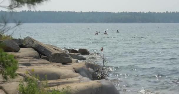 Three Men Swimming Lake — Stock Video