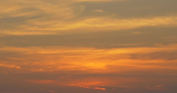 Een Goudene Lucht Bij Zonsondergang — Stockvideo