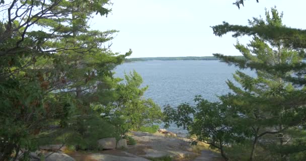 Lake Rocks Trees — Stock Video