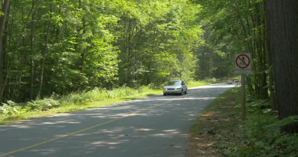 Auto Bianca Che Guida Una Strada — Video Stock