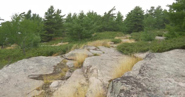 Felsiger Boden Killbear Provincial Park — Stockvideo