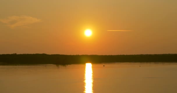 Atardecer Oro Parque Provincial Killbear — Vídeo de stock