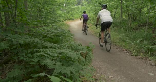 森の道を自転車で走る — ストック動画