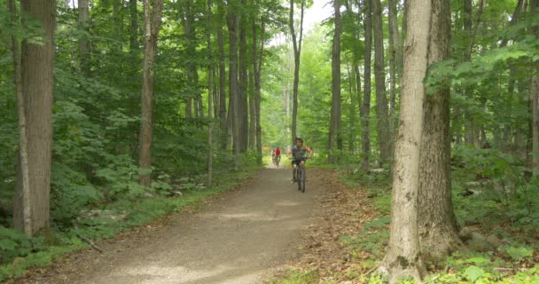 Ciclismo Sendero Forestal — Vídeo de stock