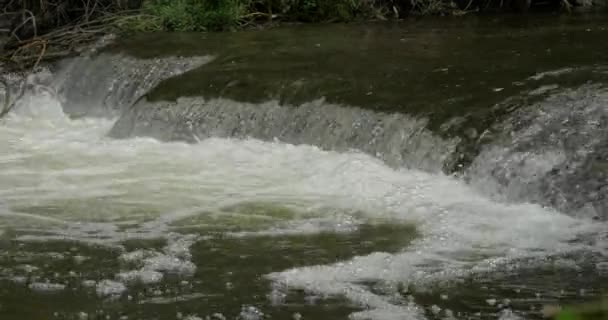 Kleine Waterval Een Rivier — Stockvideo