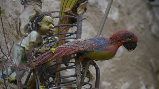 View Parrot Statue Decoration — Stock Video