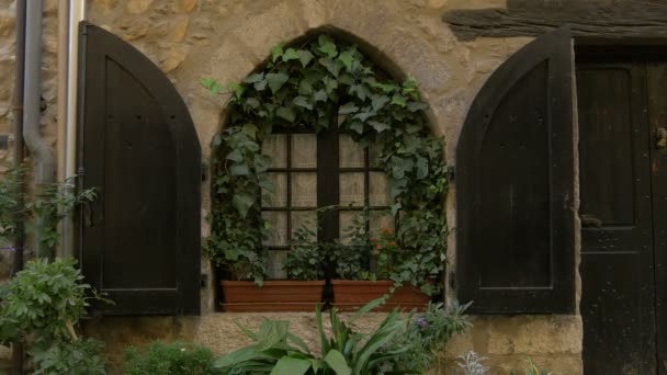 Bogenfenster Mit Grüner Bepflanzung — Stockvideo
