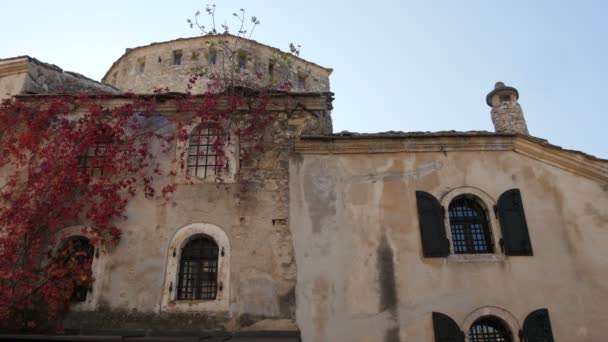 Antiguo Edificio Con Hiedra Roja Mostar — Vídeo de stock