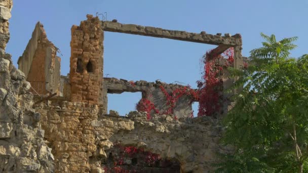 Edifício Arruinado Com Hera Vermelha Mostar — Vídeo de Stock