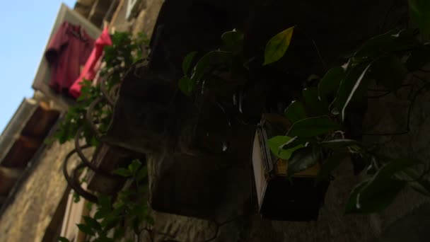 房子的低角上挂着花 — 图库视频影像