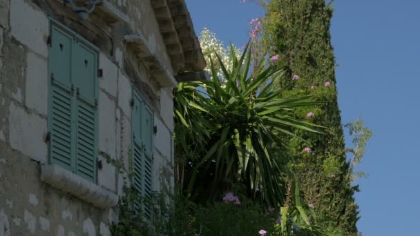 Blumen Neben Einem Gebäude Aus Stein — Stockvideo