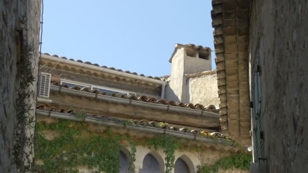 ツタで覆われた建物の傾斜 — ストック動画
