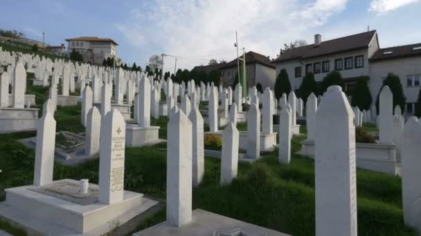 Cemitério Com Lápides Brancas — Vídeo de Stock