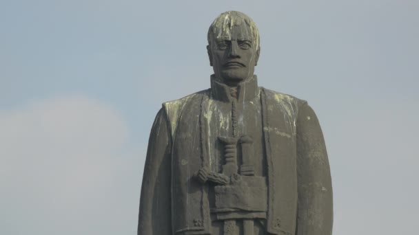 カラドルジェ ペトロヴィッチ像の眺め — ストック動画