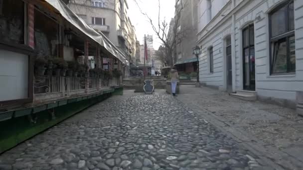 Cobblestone Alley Buildings — Stock Video