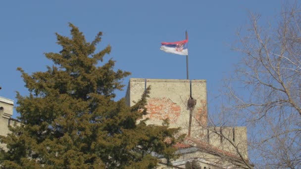 Bandera Ondeando Edificio — Vídeos de Stock