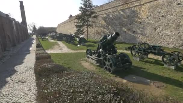 Kanonnen Bij Fort Belgrado — Stockvideo