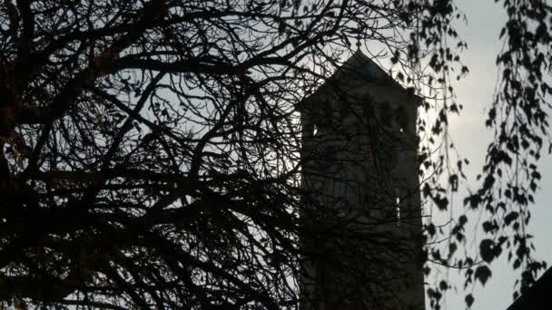 Wieża Zegarowa Widziana Gałęziami — Wideo stockowe