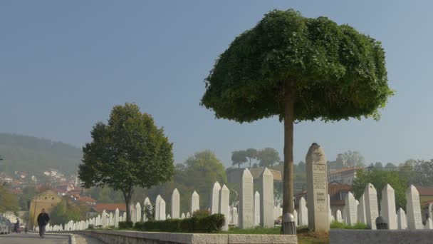 Mezarlıktaki Ağaçlar — Stok video