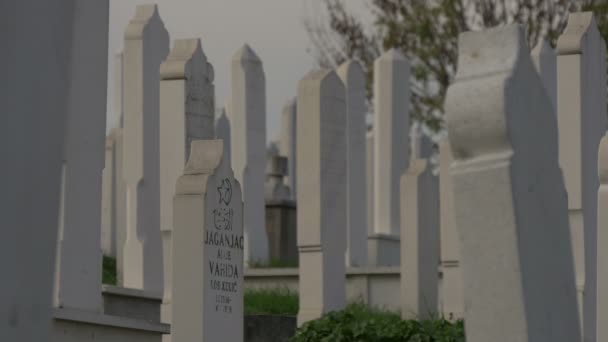 Белые Надгробия Кладбище — стоковое видео