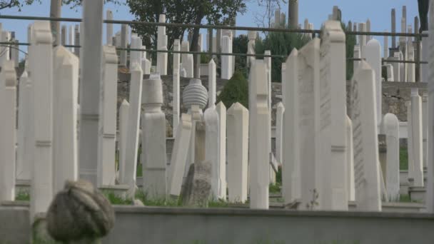 墓石の側面図 — ストック動画