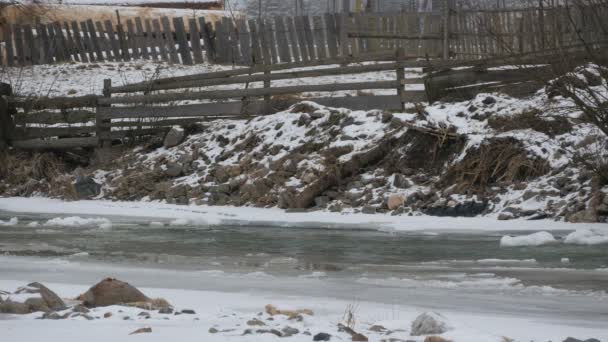 Orilla Río Congelado — Vídeos de Stock
