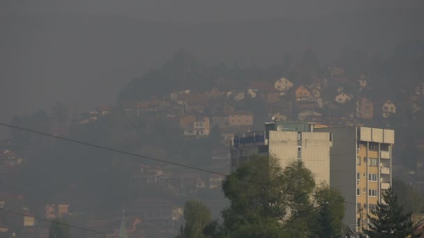 Buildings Misty Day — Stock Video