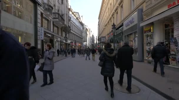 在布达佩斯的Vaci街上散步 — 图库视频影像