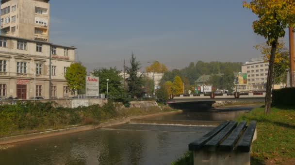 Banco Orilla Del Río — Vídeos de Stock