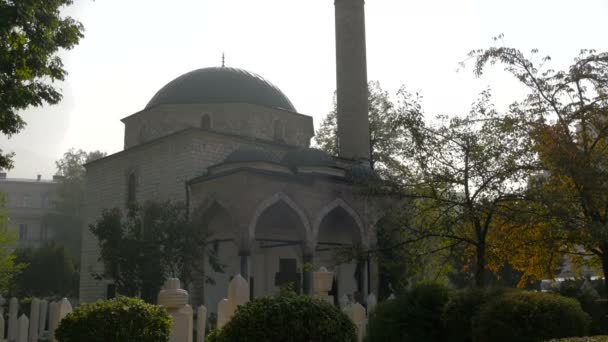 Tilt View Ali Pasha Mosque — Stock Video