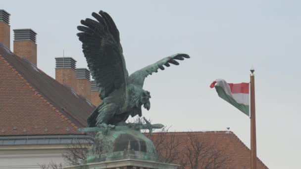 Statue Oiseau Turul Drapeau Hongrois — Video