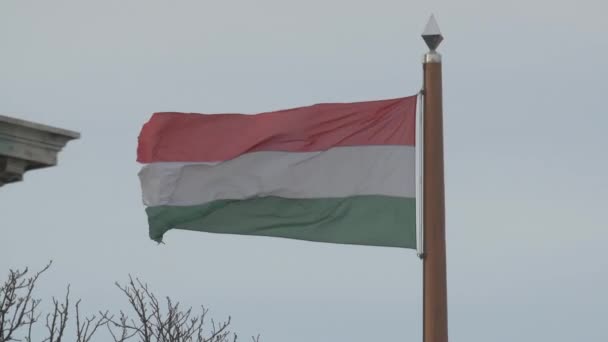 Bandera Hungría Ondeando — Vídeo de stock
