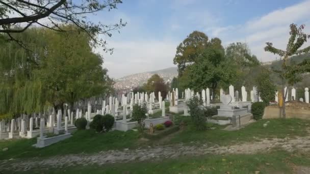 Mezarlıktaki Mezar Taşları Ağaçlar — Stok video