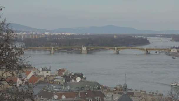 Міст Маргарет Через Річку Дунай — стокове відео