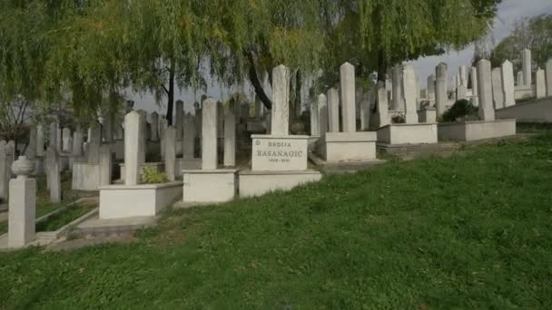 墓地にある墓碑 — ストック動画