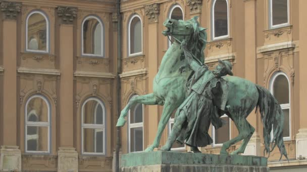 Posąg Konia Zamku Królewskiego — Wideo stockowe