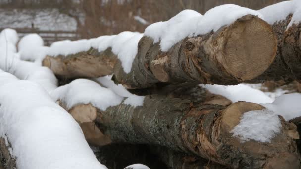 被雪覆盖着的木原木 — 图库视频影像