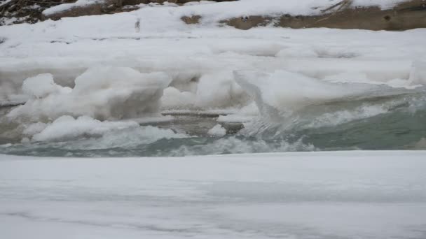 Rivière Qui Coule Hiver — Video