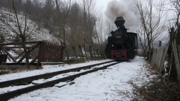 Vlak Jede Zimě — Stock video