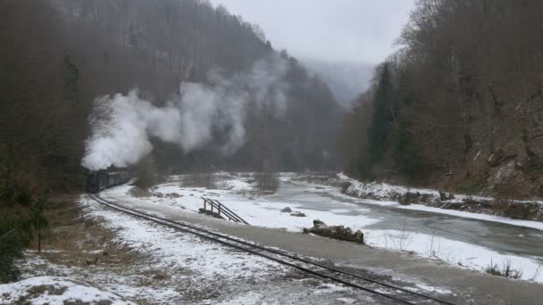 Mocanita Rollt Zugefrorenen Vaser River Entlang — Stockvideo