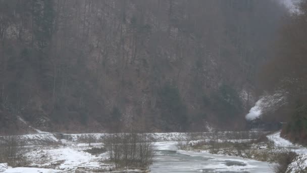 Mocanita Roulant Long Rivière Vaser Hiver — Video