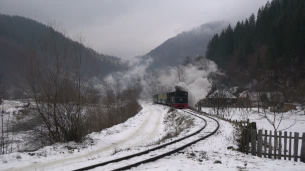 Černý Vlak Jede Zimním Dni — Stock video