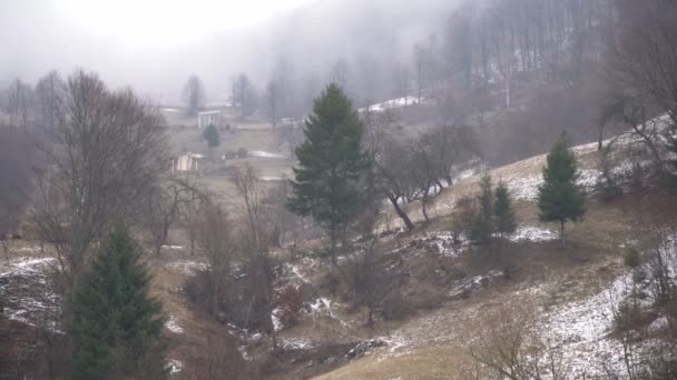 Пагорб Деревами — стокове відео