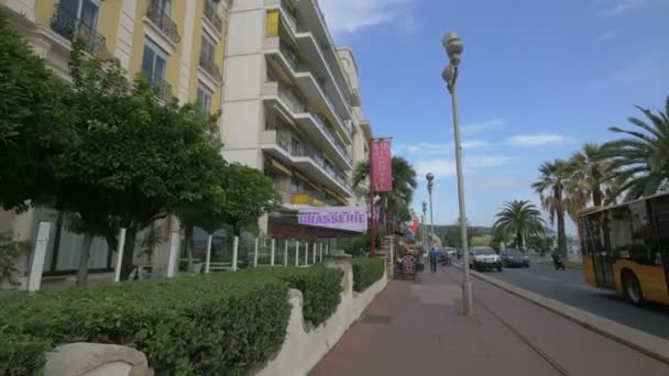 Een Trottoir Door Groene Struiken Bomen — Stockvideo