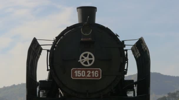 Blick Auf Die Schwarze Dampflokomotive — Stockvideo
