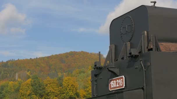 Nahaufnahme Eines Teils Einer Dampflokomotive — Stockvideo