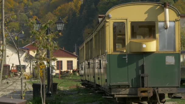 Sarı Yeşil Vagon Tren Istasyonunda Görüldü — Stok video