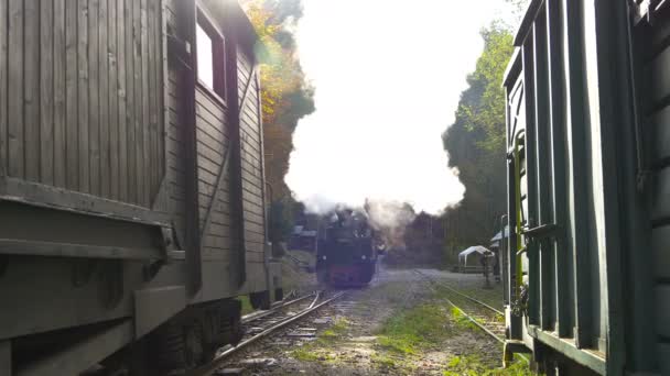 Vlak Přijíždí Nádraží — Stock video